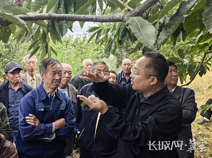 板栗产业技术教育部工程研究中心张京政教授应邀赴迁安市开展板栗省力化修剪技术培训